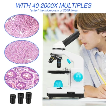 100-2000-кратный микроскоп для детей, учащихся с сильным увеличением, Биологический образовательный микроскоп, Школьные лабораторные принадлежности
