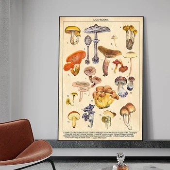 Абстрактные винтажные грибы, ботанические растения, картины на холсте, плакаты и принты, настенные рисунки в скандинавском стиле для декора гостиной