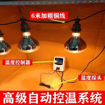 Лампа для изоляции цыплят-попугаев, специальная нагревательная лампа для фермы, лампа с автоматическим контролем температуры, постоянная температура для вынашивания H