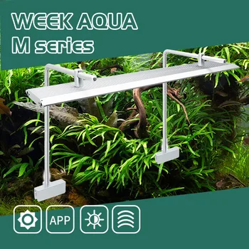 Светодиодная аквариумная лампа WRGB серии WEEK AQUA M для аквариума Nano с таймером цикла, Nano бак с кронштейном для водных растений